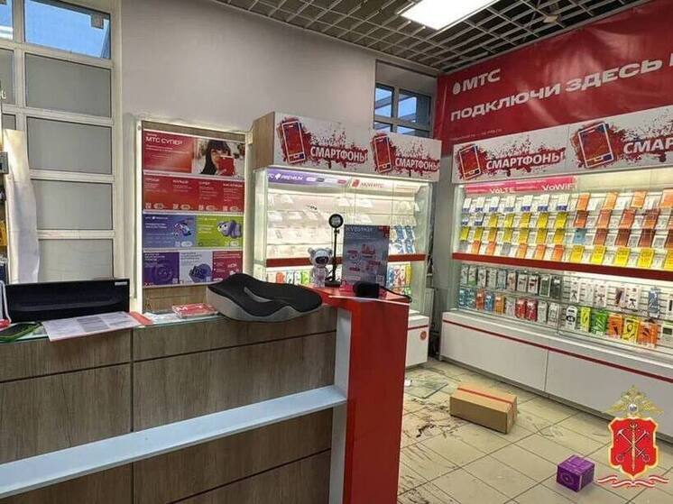 Задержанных телефонных воров изобличили еще в двух грабежах в Приозерске