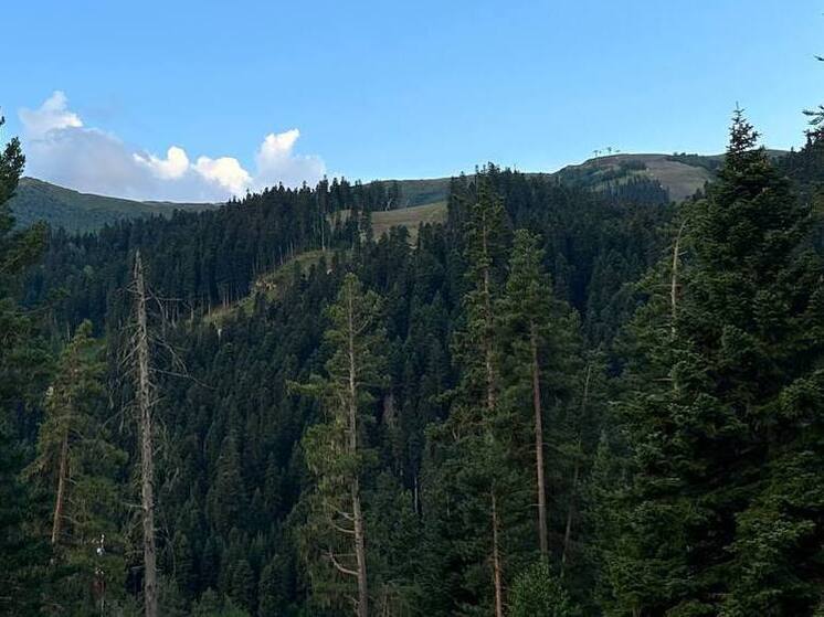 «Эрзи» в Ингушетии стал 100-м объектом природоохранного назначения в списке заповедников России