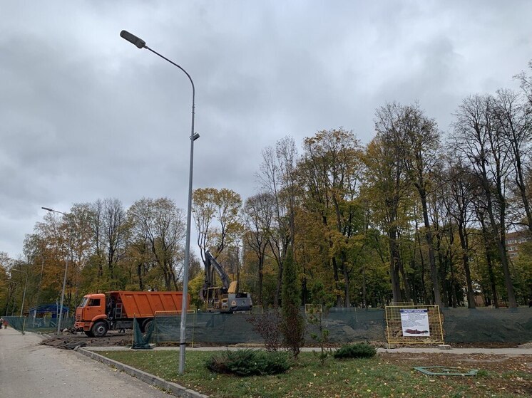 На благоустройство Рогожинского парка в Туле выделяют 16 млн рублей