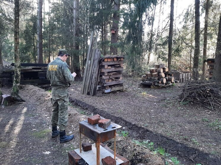 Почти 400 самовольно занятых участков обнаружили в лесах Подмосковья