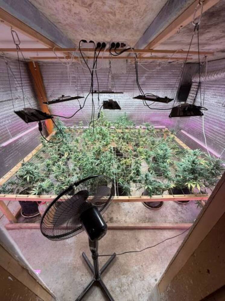 Астраханец устроил в гараже наркоплантацию