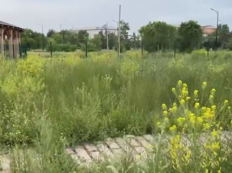 В Черногорске «новый» парк за 100 млн оказался в запустении