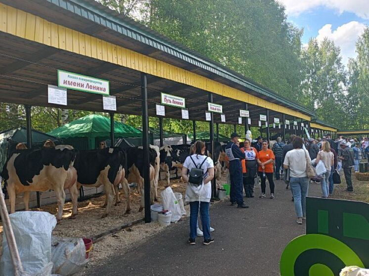 Тёска – победитель выставки племенных животных в Кировской области