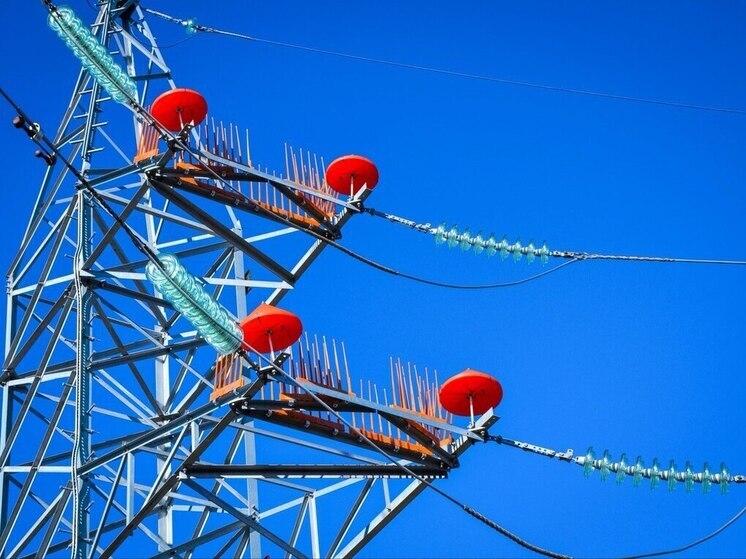 «Россети Северный Кавказ» установили на ЛЭП Ставрополья свыше 420 птицезащитных устройств