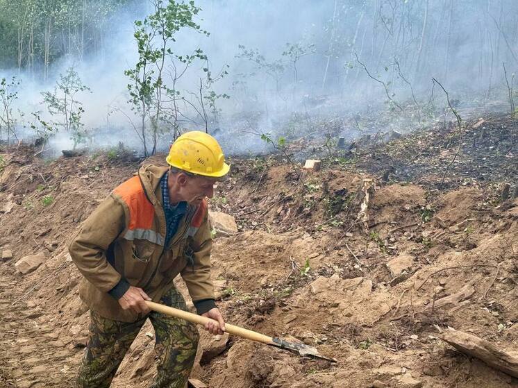 В Бурятии лесной пожар горит вблизи села Сулхара