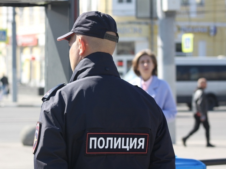 В Плавске судимый мужчина не устоял перед соблазном и похитил триммер
