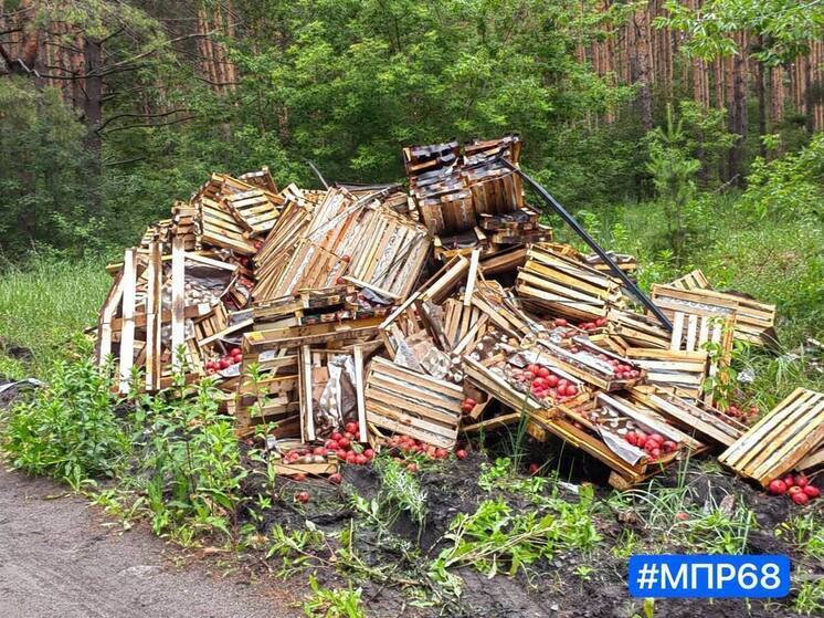 На трассе в Рассказовском округе образовалась свалка с испорченными помидорами