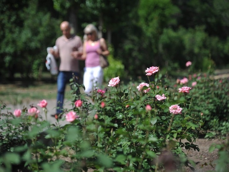 Волгоградцам рассказали о роли бактерий в защите кожи от солнца