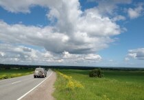 В 2024 году в нашей стране почти 5,5 миллионов тонн вторсырья из отходов при строительстве автомобильных дорог не пропали даром. Их использовали в строительстве 9 тысяч километров новых дорог, сообщила пресс-служба ППК РЭО.