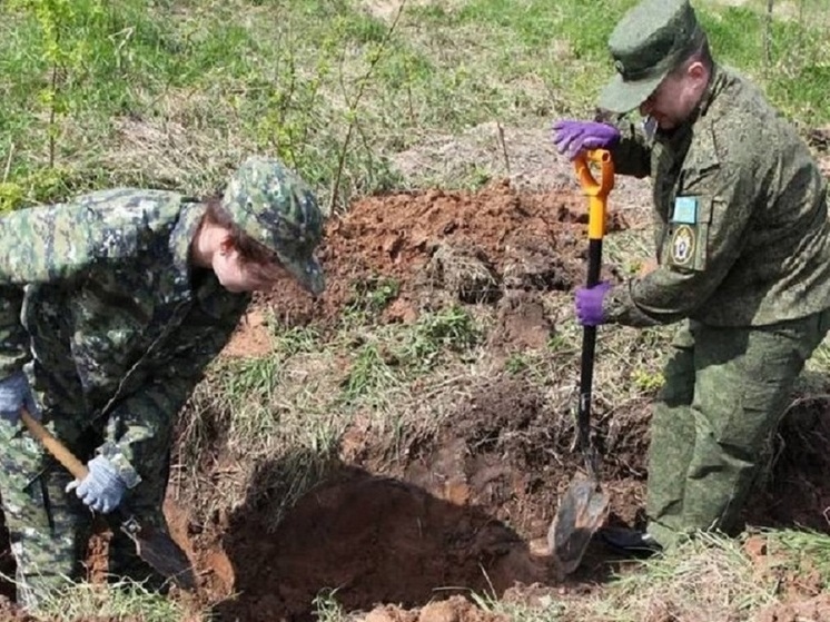 Человеческие останки нашли в Псковском районе