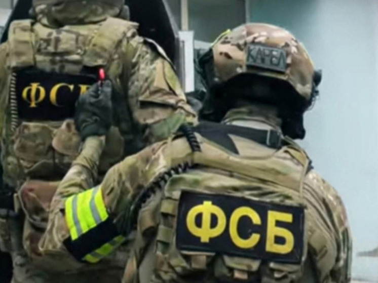 Задержанная жительница Новороссийска, которая передавала украинской стороне данные о кораблях Черноморского флота (ЧФ), заявила, что не видела в этом «ничего плохого», пишет РИА Новости