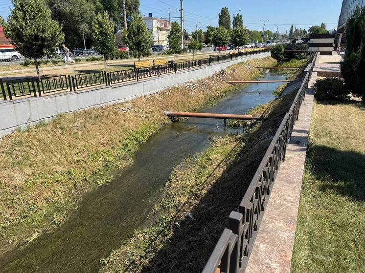 Минприроды Крыма подтвердило гибель рыбы в реке Симферополя