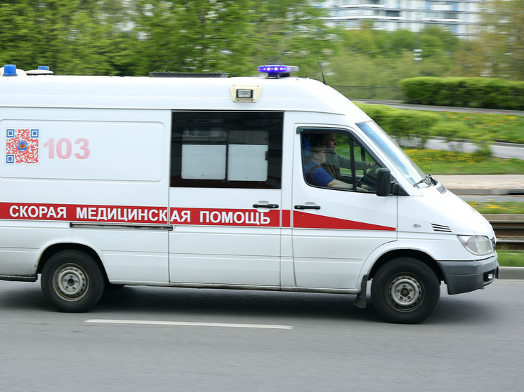 Девочка 10 лет пострадала в Подмосковье, пытаясь убрать на участке борщевик