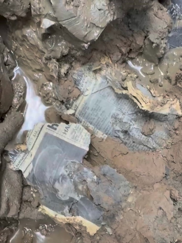 В Тверской области на месте падения Пе-2 нашли стопку газет со Сталиным