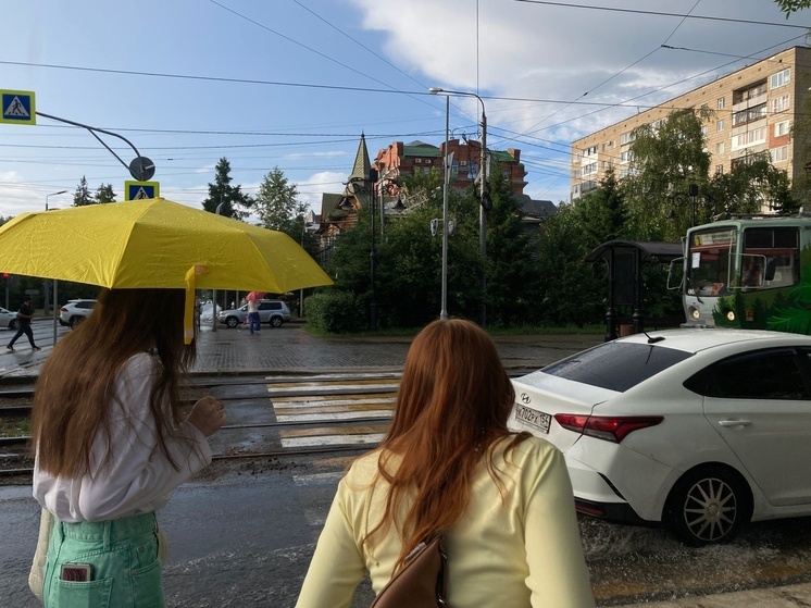 Ночью 27 июня в Томской области похолодает до +4