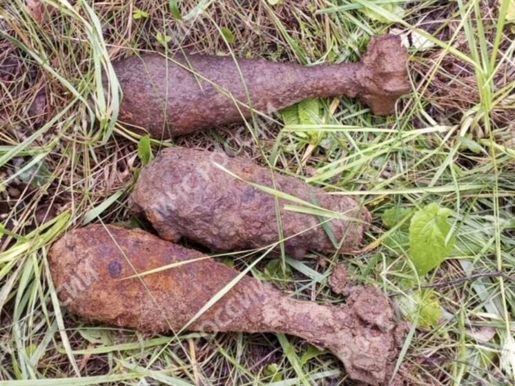 Под брянским Рогнедино собрали взрывоопасный урожай из артснаряда и мин