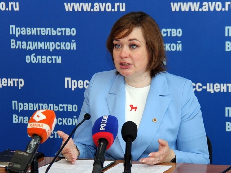 Стало известно, как пройдет День молодежи во Владимире