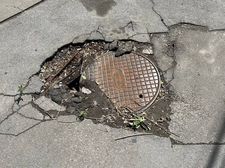 Два огромных дерева опасно висят на электропроводах в Ростове