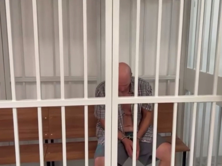 Суд арестовал мужчину, бросившего об пол 2-летнего мальчика в аэропорту Шереметьево