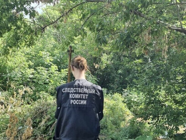 В Советском районе пьяный подросток убил женщину