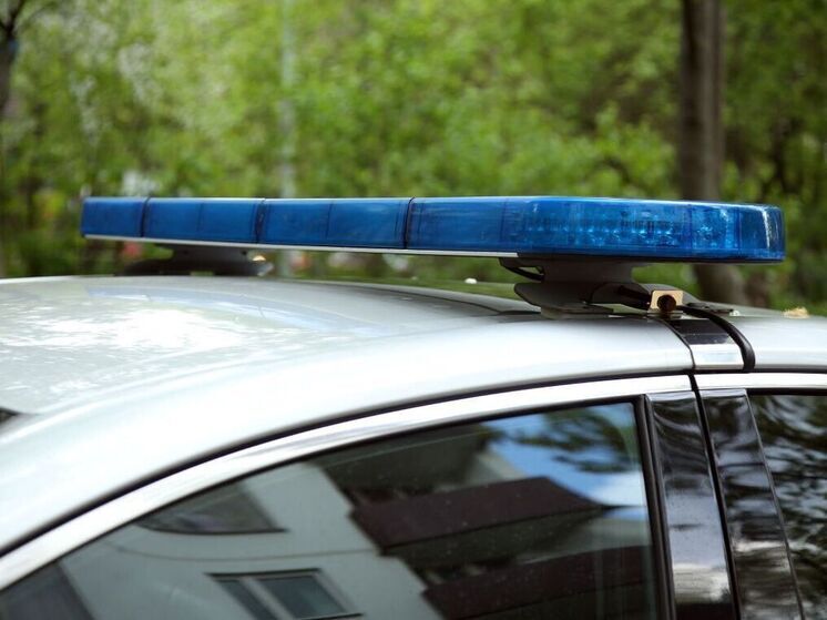 Труп младенца обнаружили в лесополосе в Павловском Посаде