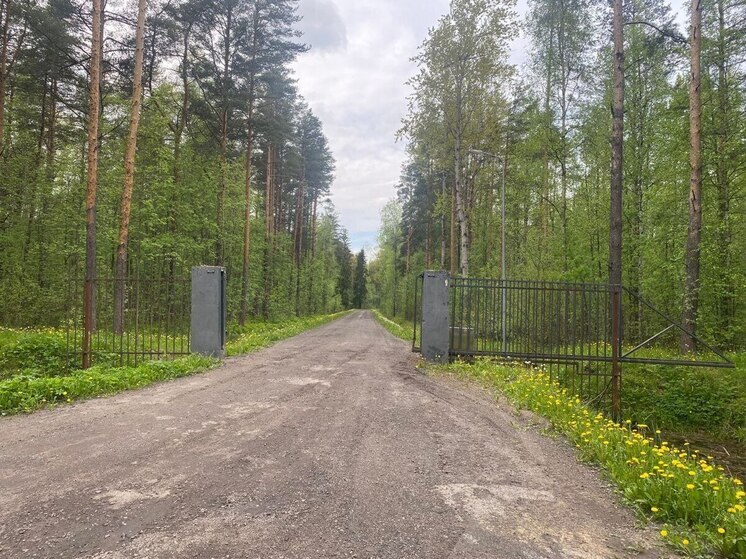 Правление СНТ в Варколово обязали снести возведенные в лесу ворота