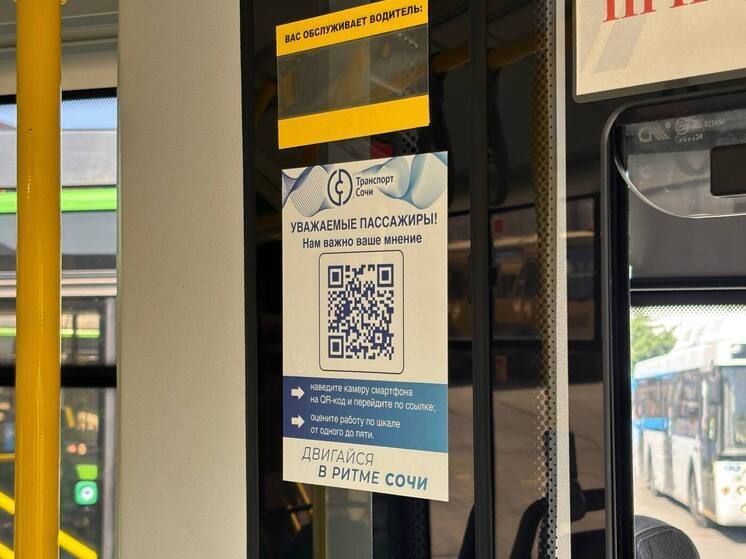 Сочинцы могут оценить работу водителей автобусов