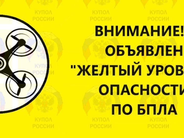 Желтый уровень беспилотной опасности объявили в Ростовской области ночью 26 июня