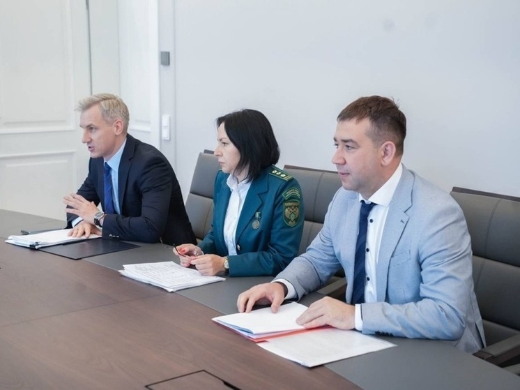 Василий Анохин провёл рабочую встречу с руководителем Федеральной службы по надзору в сфере природопользования России