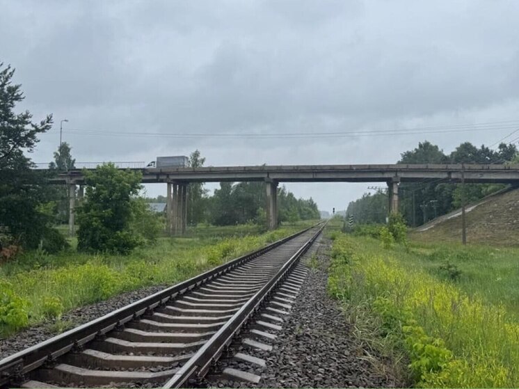 В Людинове приведут в порядок мост через железную дорогу