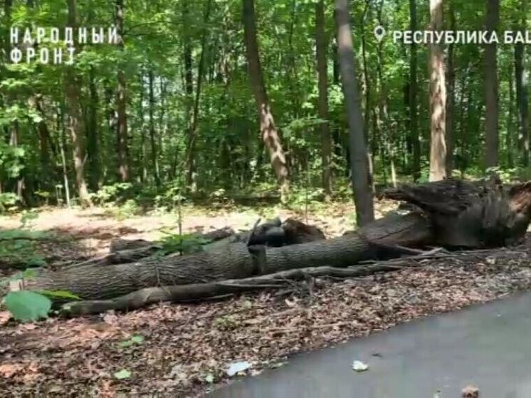 Участок «Уфимского ожерелья» не могут привести в порядок год