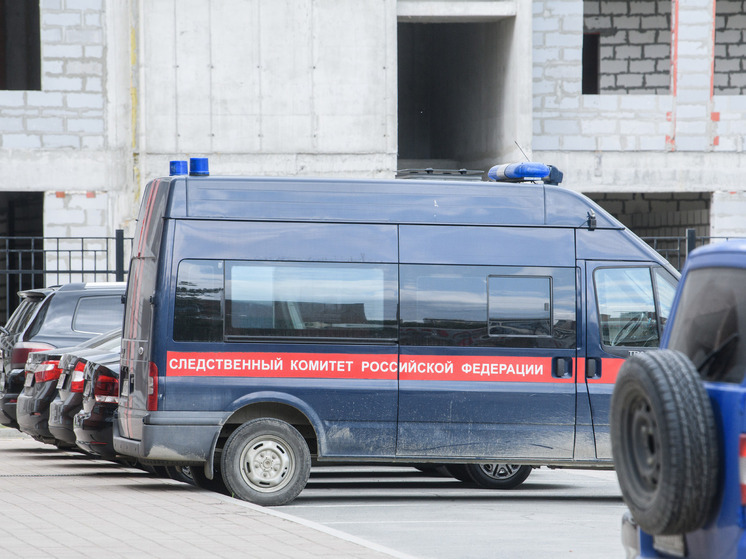 Следственный комитет сообщил о задержании подозреваемого в убийстве главврача детской больницы в Хакасии