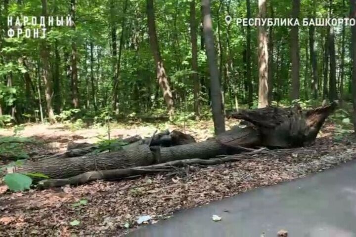 Участок «Уфимского ожерелья» не могут привести в порядок год