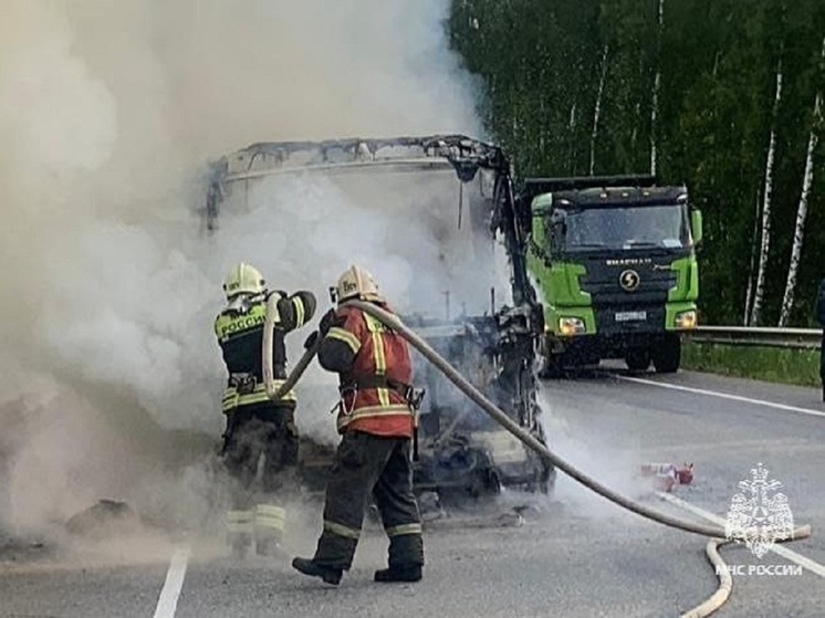 В черте Тулы 26 июня спасатели потушили вспыхнувший автомобиль
