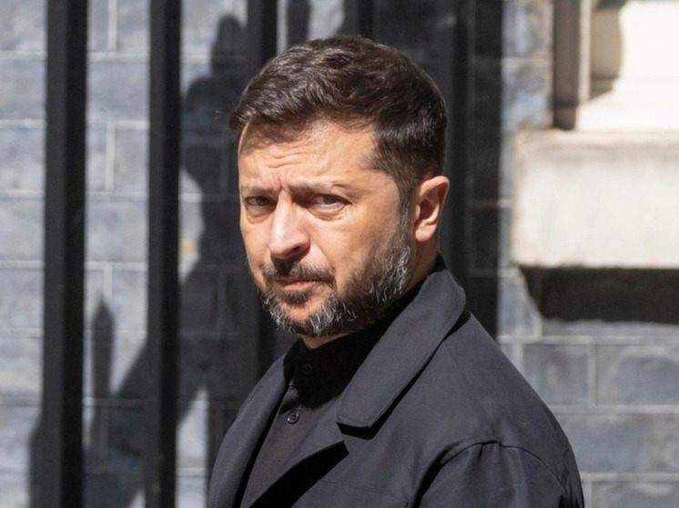 Соскин: Зеленский готов воевать до последнего украинца