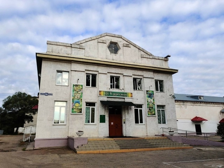 В Биробиджане обновят театр кукол «Кудесник» по нацпроекту