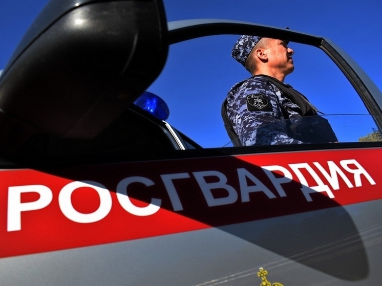 Пензенские росгвардейцы задержали женщину, устроившую дебош в одном из баров города