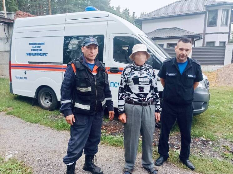 Двух потеряшек вернули родным подмосковные спасатели