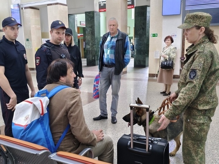 Смоленские таможенники и транспортные полицейские рассказали о работе служебных собак