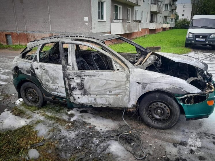 Легковой автомобиль загорелся в Дно