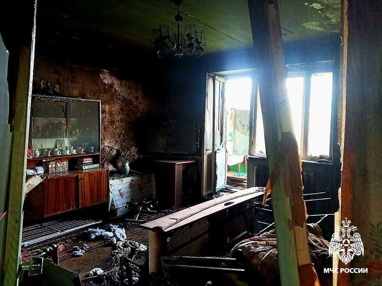 Смоленское МЧС поделилось подробностями вчерашнего смертельного пожара