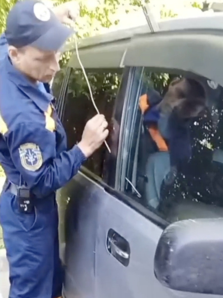 Спасатели освободили двухлетнего ребенка, запертого в автомобиле в Новосибирске