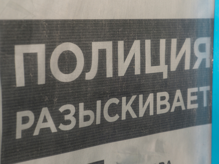 Экс-замглавы Химок сбежал из России от уголовного преследования