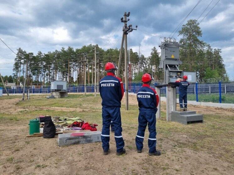 В филиале «Россети Центр и Приволжье» – «Мариэнерго» прошел День охраны труда