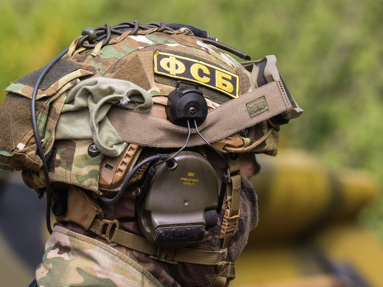 ФСБ задержала мелитопольского врача по подозрению в госизмене