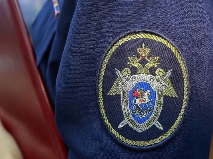 Глава Следкома заинтересовался делом о нападении собаки на детей в Тамбовской области