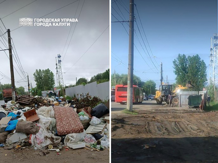 В Калуге привели в порядок контейнерную площадку после жалобы