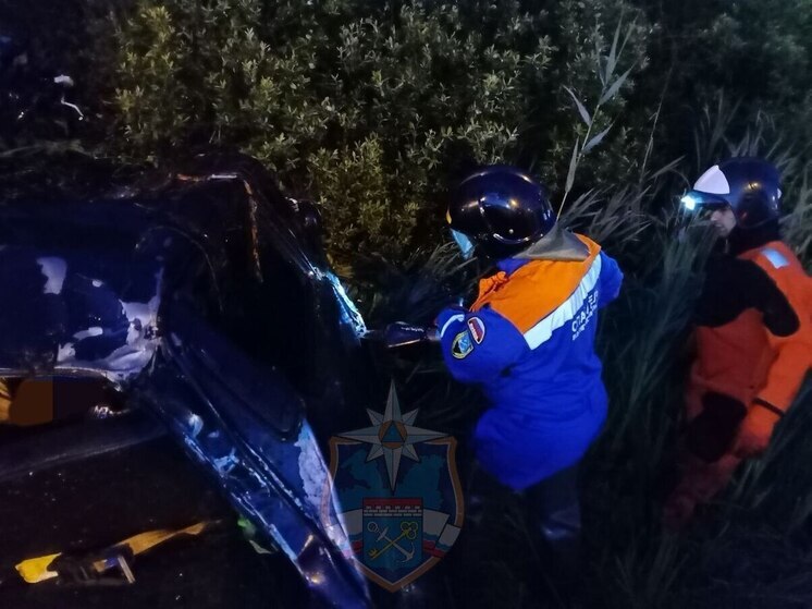 На трассе «Кола» в ночном ДТП двое погибли и двое пострадали