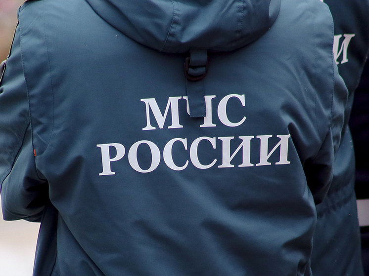 Спасатели освободили девочку, у которой голова застряла в качелях