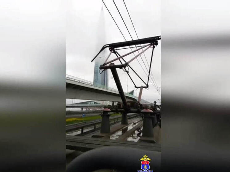 Подросток-экстремал пойман транспортной полицией в Петербурге